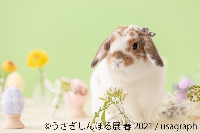 展示作品2