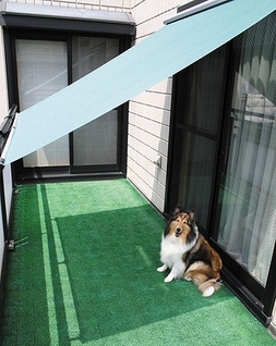 住宅用エコスクリーン まどかぜ