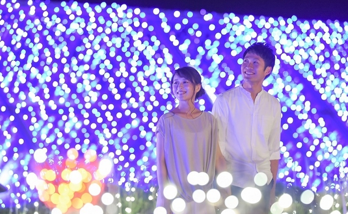 ガーデンのプライベートイルミネーション