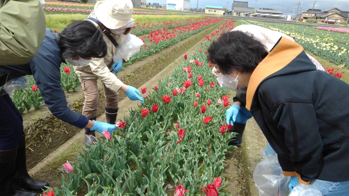 農家さんから熱心に教わる参加者