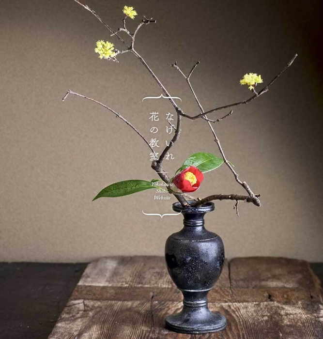 横川志歩 イメージ写真 Instagram: @shiho_yokokawa