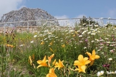 自然体感展望台 六甲枝垂れ(六甲ガーデンテラス内)