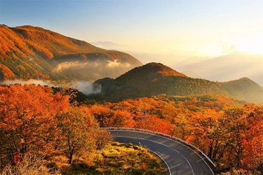 一度は行ってみたい紅葉の名所ランキング！ ～1位に輝いたのは栃木県の名所！ 阪急交通社が公開～