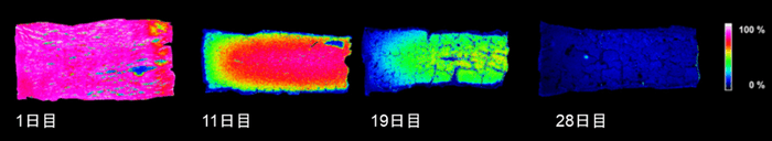 スタビライズ製法