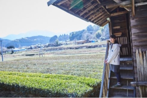 岩永製茶園 門内さん