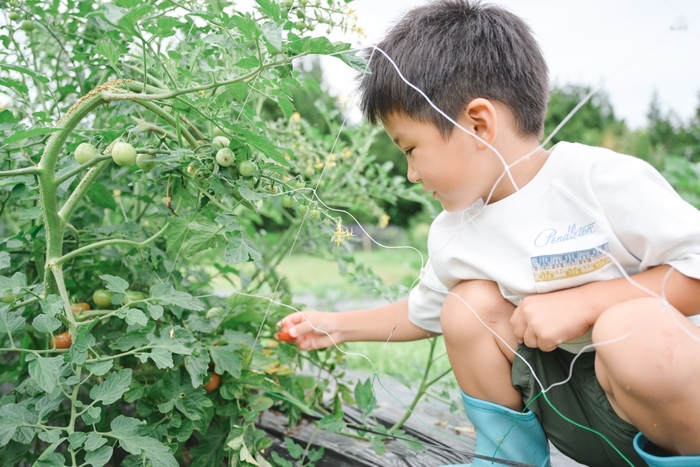 Farm to tableツアーで収穫体験