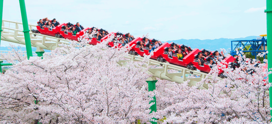 お花見 アトラクションが絶好のお花見スポットに！ ひらパー 300本の桜が