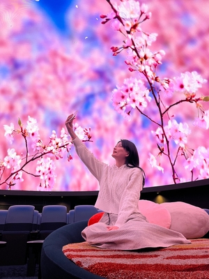 桜ウェルカムドーム サブ