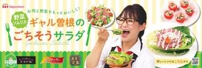 日本野菜ソムリエ協会、日本ハムの販売する 『ミートデコレ』『彩りキッチン(R)』 『美食の定番(R)』シリーズを サラダがもっとおいしく食べられる商品として認定！