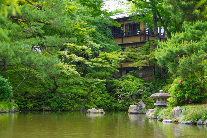 池に浮かぶように建つ夏の頃のeXcafe祇園八坂