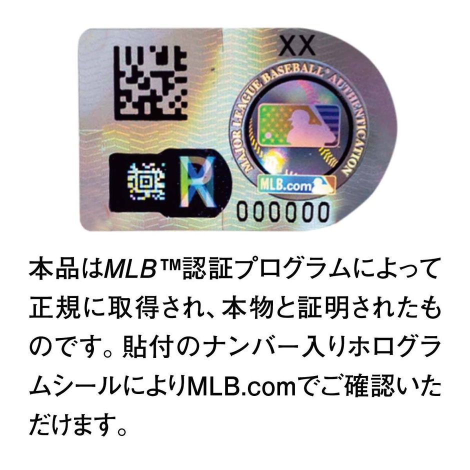 ホログラム
