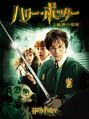 (C) 2022 Warner Bros. Entertainment Inc. Harry Potter and Fantastic Beasts Publishing Rights (C) JKR