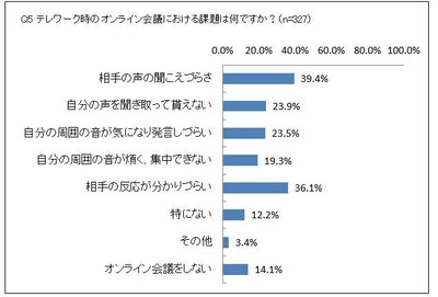 Q5 テレワーク時のオンライン会議における課題は何ですか?