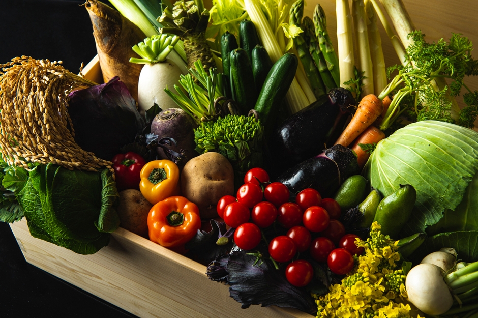 循環型サスティナブル農法で栽培した「プロラボファーム」の野菜