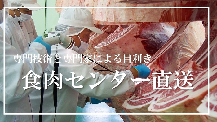 食肉センター直送の近江牛