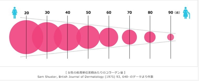 女性の皮膚単位面積あたりのコラーゲン量