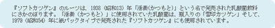 説明文