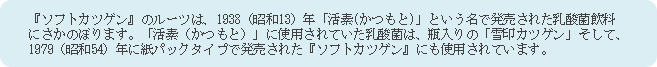 説明文