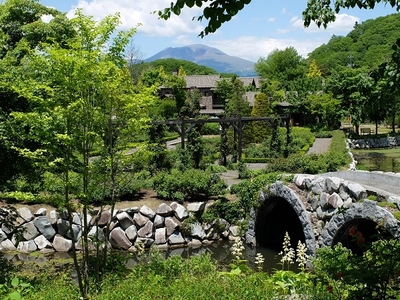 新緑 4月~5月