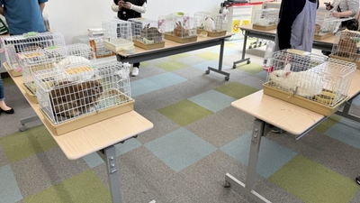 譲渡会の様子