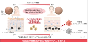 ノエビアグループ、北海道産丸大豆「音更大袖」の 『豆乳由来発酵液』が免疫バランスを整えることを解明
