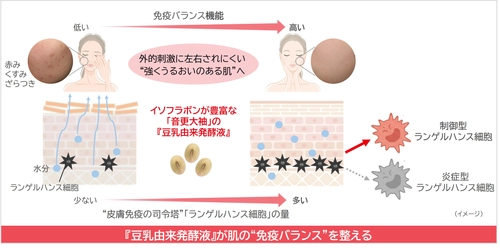 ノエビアグループ、北海道産丸大豆「音更大袖」の 『豆乳由来発酵液』が免疫バランスを整えることを解明
