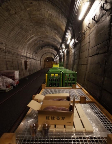 2005年に廃線となった「のと鉄道能登線トンネル」を貯蔵庫として熟成に利用。2021年にさつまいも貯蔵実験を行い、最適な貯蔵日数を検証した。