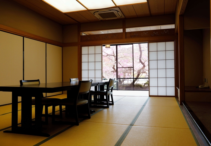 完全個室からも桜が見えます