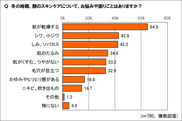 冬のスキンケアのお悩みは？