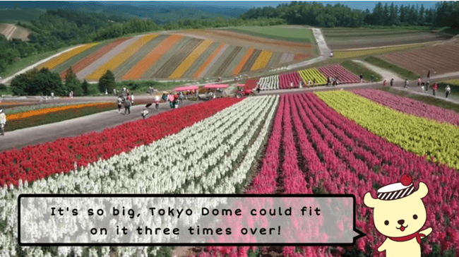 jam-mu(ジャムム)