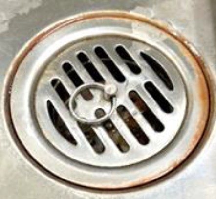 排水口に発生したバイオフィルム。茶色がかった部分で、ぬめり状の物質（イメージ）