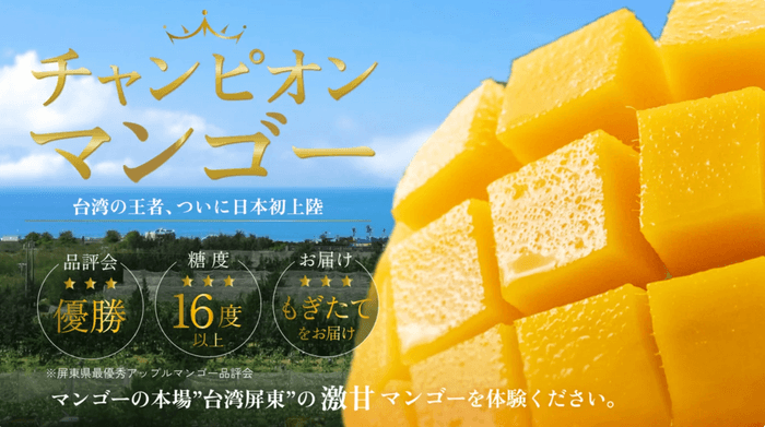 チャンピオンマンゴー(1)