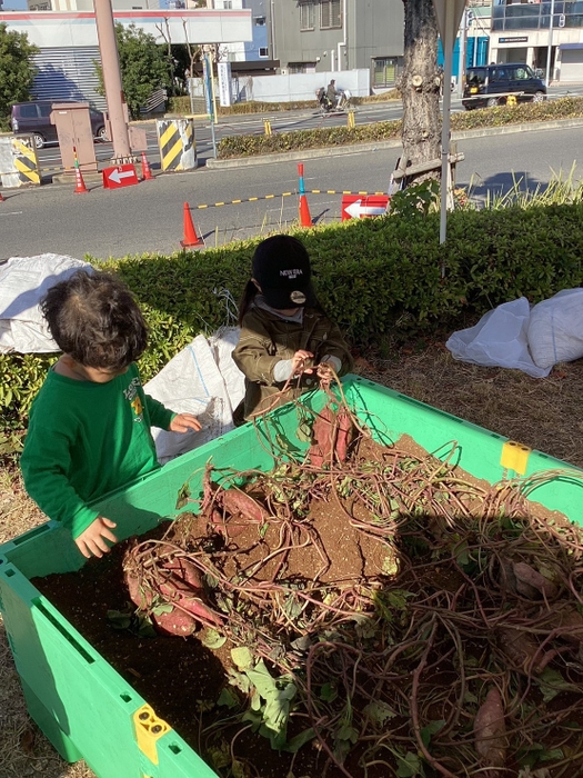 大阪市内で行った収穫体験(1)