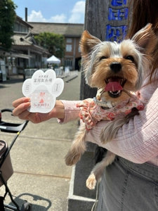 世界文化遺産・国宝の富岡製糸場で 7月19日より「屋内施設へのペット同伴見学範囲が拡大」