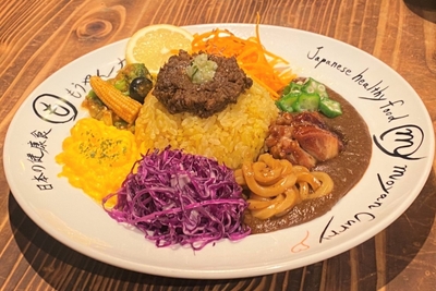 漢方薬膳カレー「もうやんスパイスカレー ザ・リッチ」