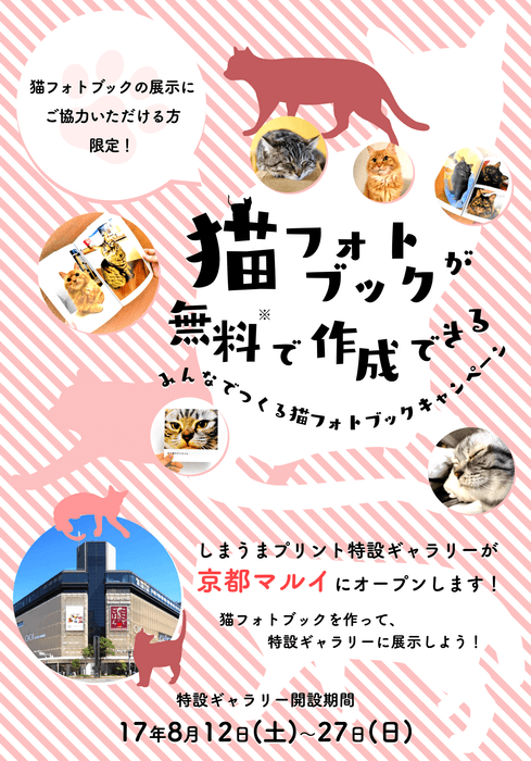 「みんなでつくる猫フォトブック展」