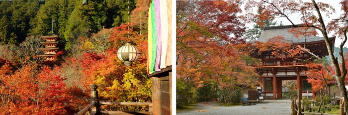 長谷寺(左)と室生寺