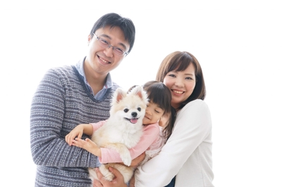 アニコム損保のメリットについてそれぞれ解説していきます。