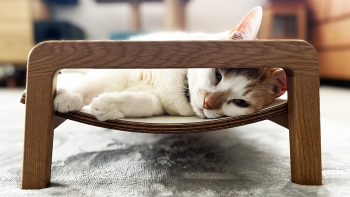 無垢材の心地よさを愛猫に!