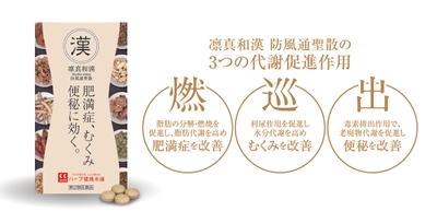 凛真和漢〔防風通聖散〕