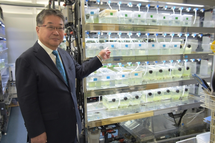 メダカの水槽と森教授