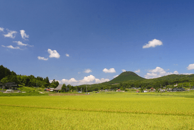 新見市