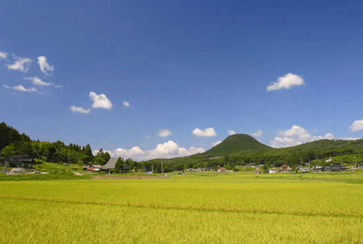 新見市