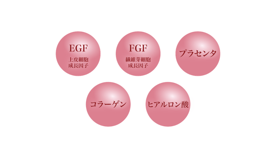 Wの幹細胞の働きで活性化