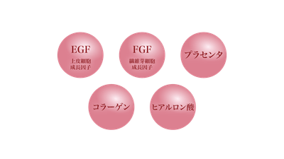 Wの幹細胞の働きで活性化