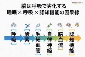 眠りづらさの正体──認知機能低下の盲点。寝ると呼吸が弱くなるを優しく解説シリーズ第8回　──医学が見落としてきた"脳が劣化する上流構造"