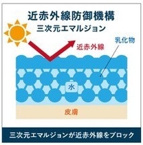 特許技術「三次元ネットワークエマルジョン」構造