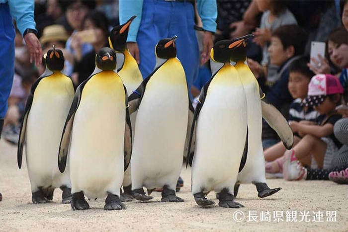 長崎ペンギン水族館（長崎県 長崎市）