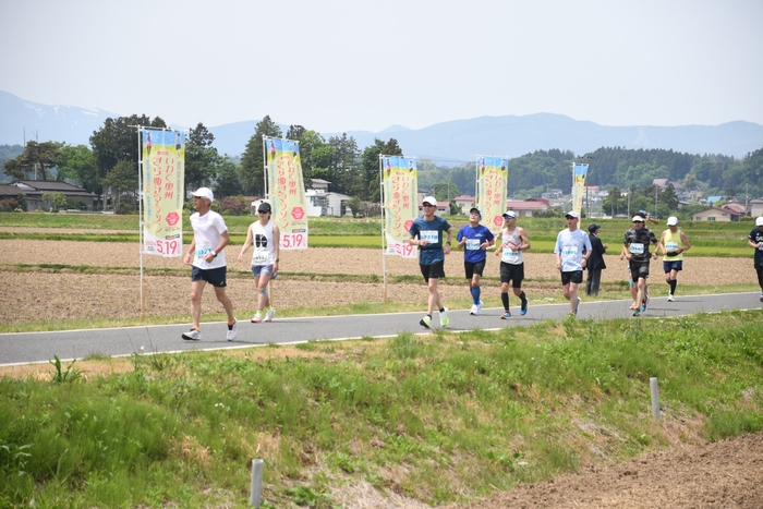 高低差が少ないフラットなマラソンコースが特徴