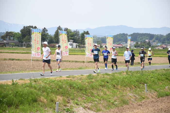 高低差が少ないフラットなマラソンコースが特徴